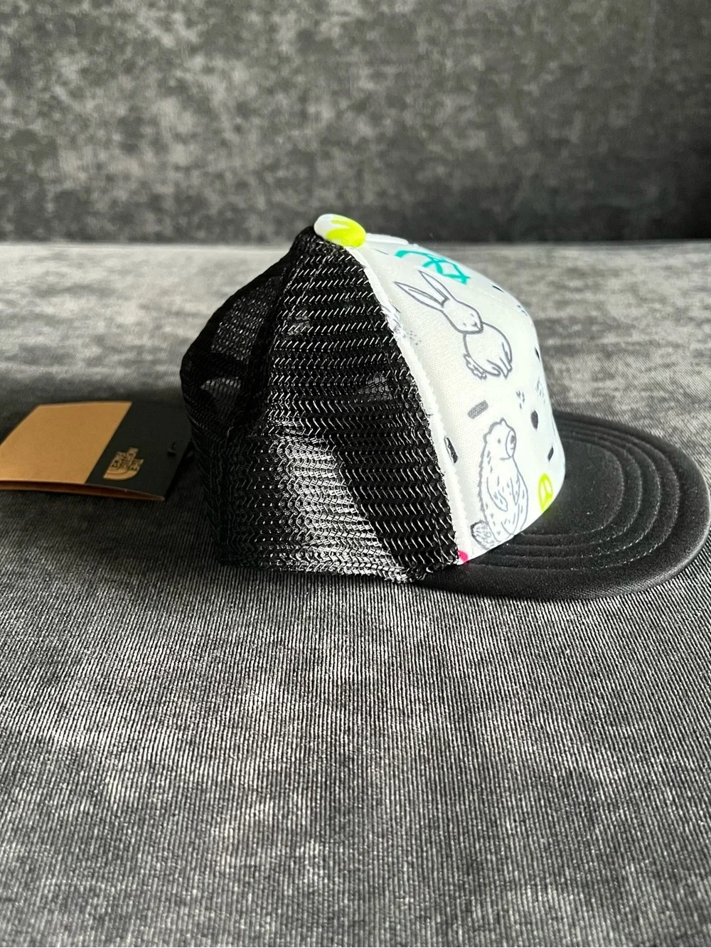 The North Face this hat